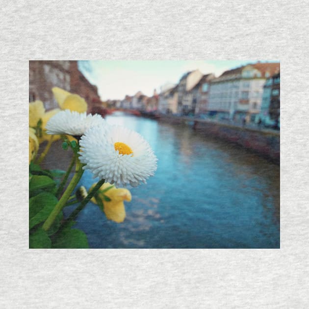 white flower on the bridge by psychoshadow